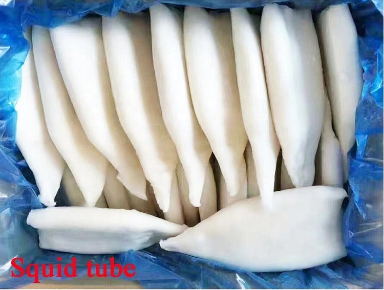 Frozen Squid with Vetetable String Ring High Quality Health Seafood Lllex Giant Squid Product Japanese Squid