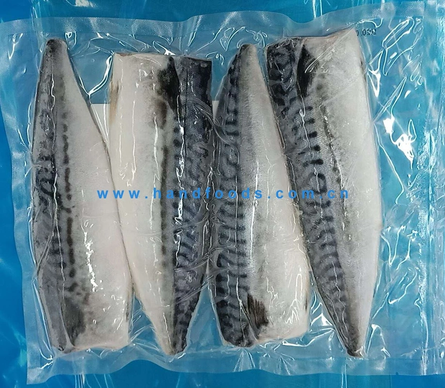 Top Quality Seafood of Frozen Norway Mackerel Fillets Vacuumed Packed or Packing by Bulk Bag