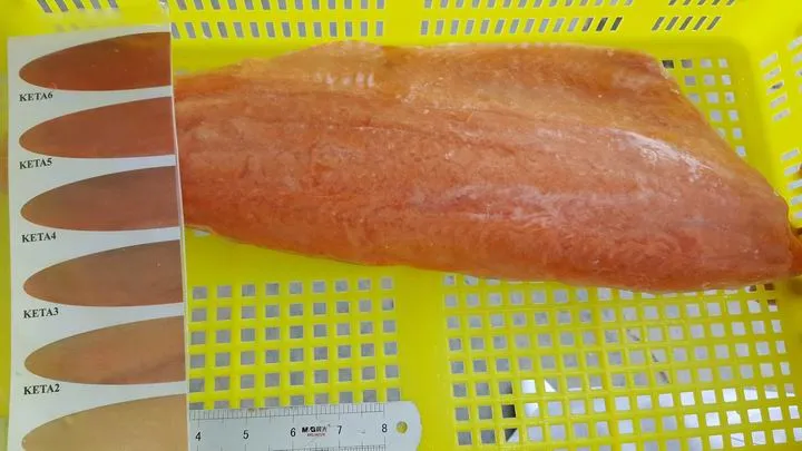 Halal Frozen Chum Salmon Fillet, Untreated, No Water Added. Halal