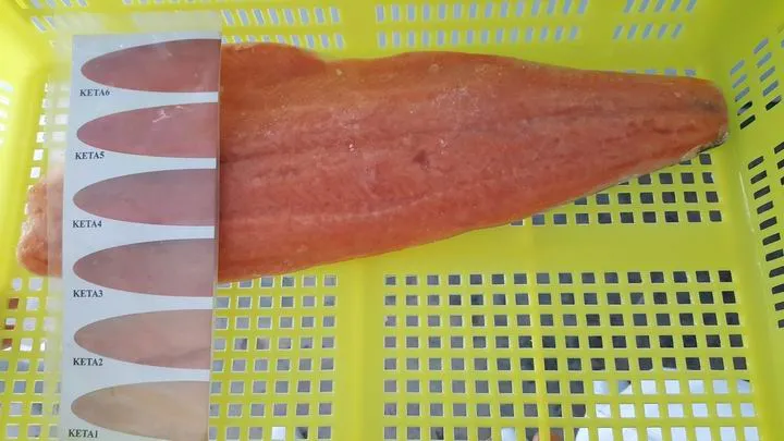 Halal Frozen Chum Salmon Fillet, Untreated, No Water Added. Halal