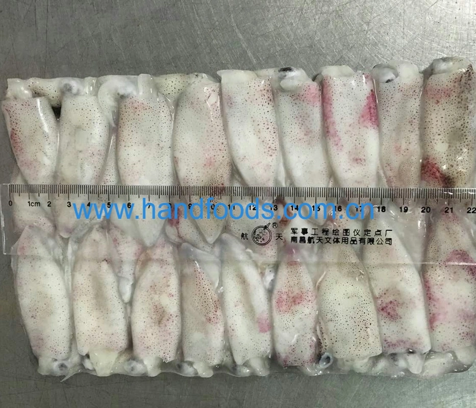 Hot Sale Seafood of Frozen Loligo Squid