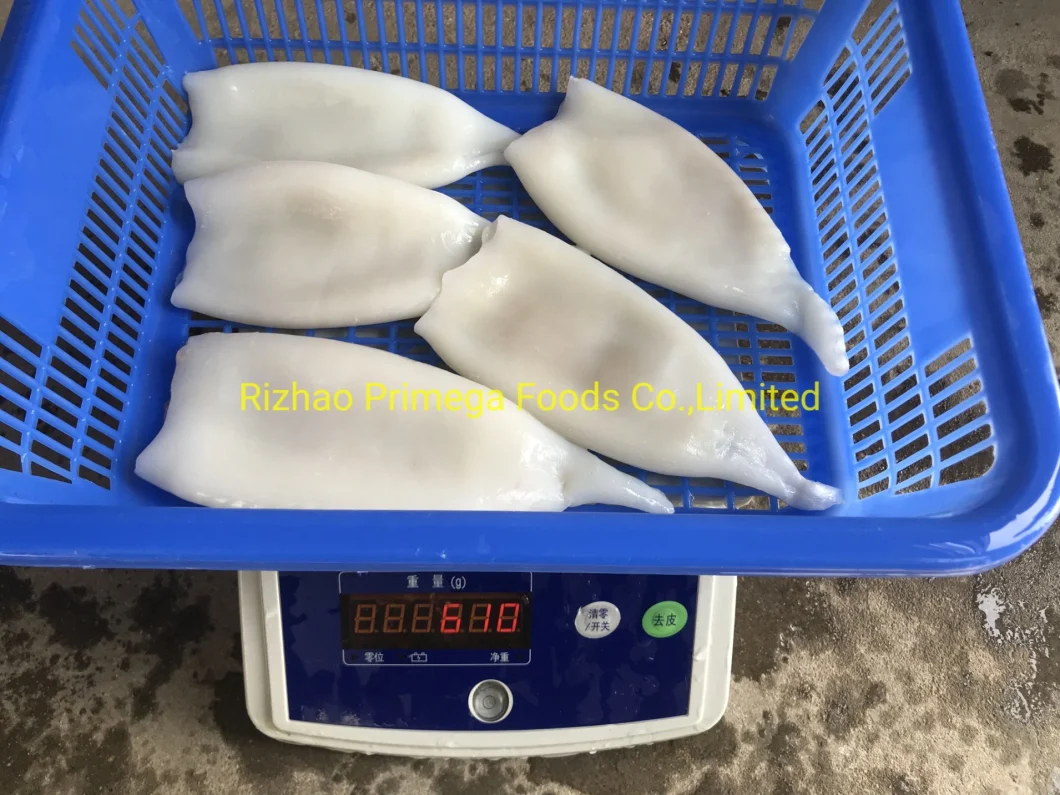 Frozen Seafood Marine Food Calamari Todarodes Pota Squid Tubes Dosidicus Gigas