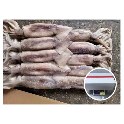 Ganzer runder Illex-Tintenfisch 3 kg/Block 300-400 g gefrorener Tintenfisch