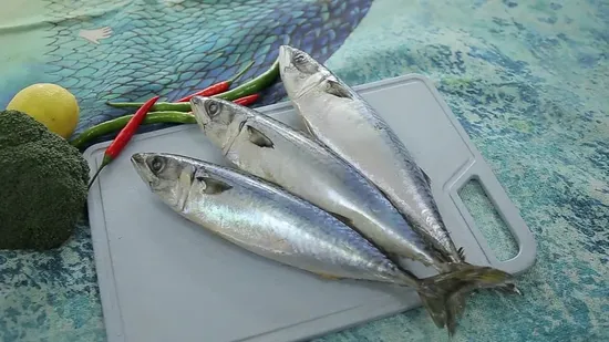 Landgefrorene pazifische Makrele 300–500 g für gefrorene Makrelen auf dem Markt