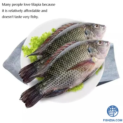 Schwarzer Tilapia China Zuchtfisch Schwarzer Tilapia gefroren