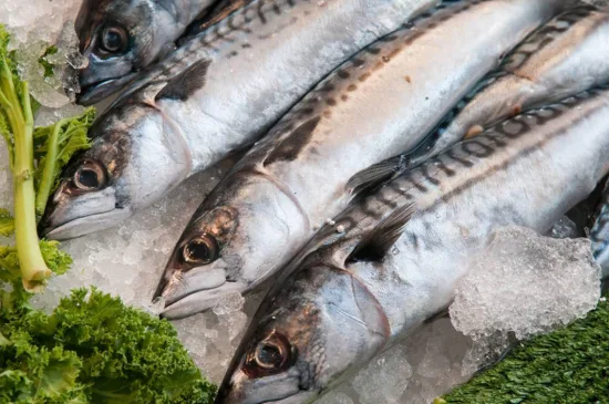 Gefrorener pazifischer Makrelenfisch Scomber Japonicus im Ganzen zu verkaufen